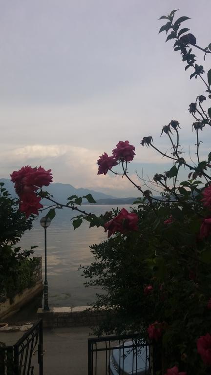 Apatments Stanojlovic Djenovic Apartment แฮร์เซ็ก-โนวี ภายนอก รูปภาพ